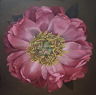 Traute ZiegenfuA, peony I oil 80x80 cm